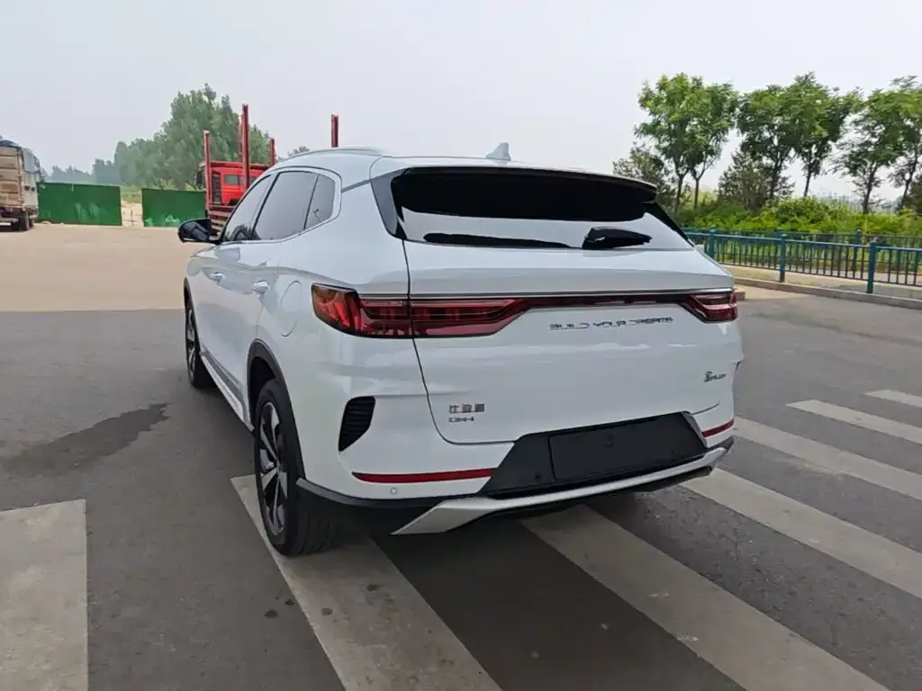 BYD PLUS New Energy — фото 8