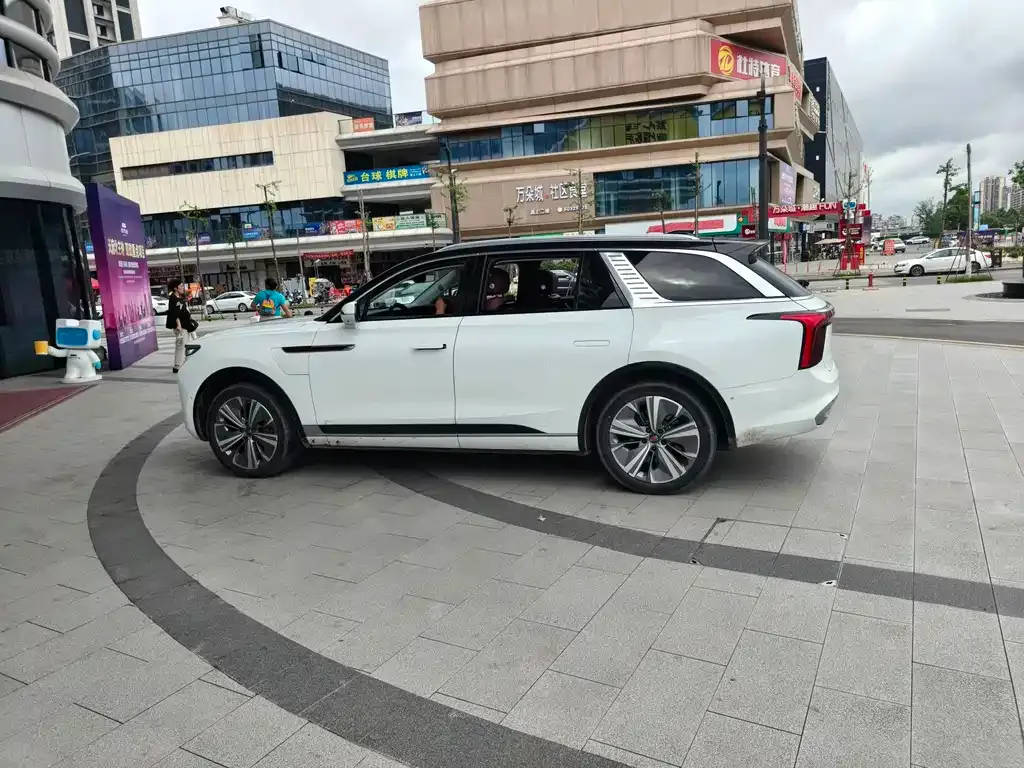 Hongqi E-HS9 2022 из CN, фото 5