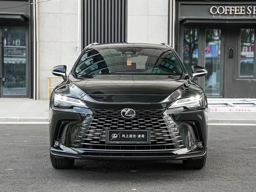 Lexus RX — фото 6