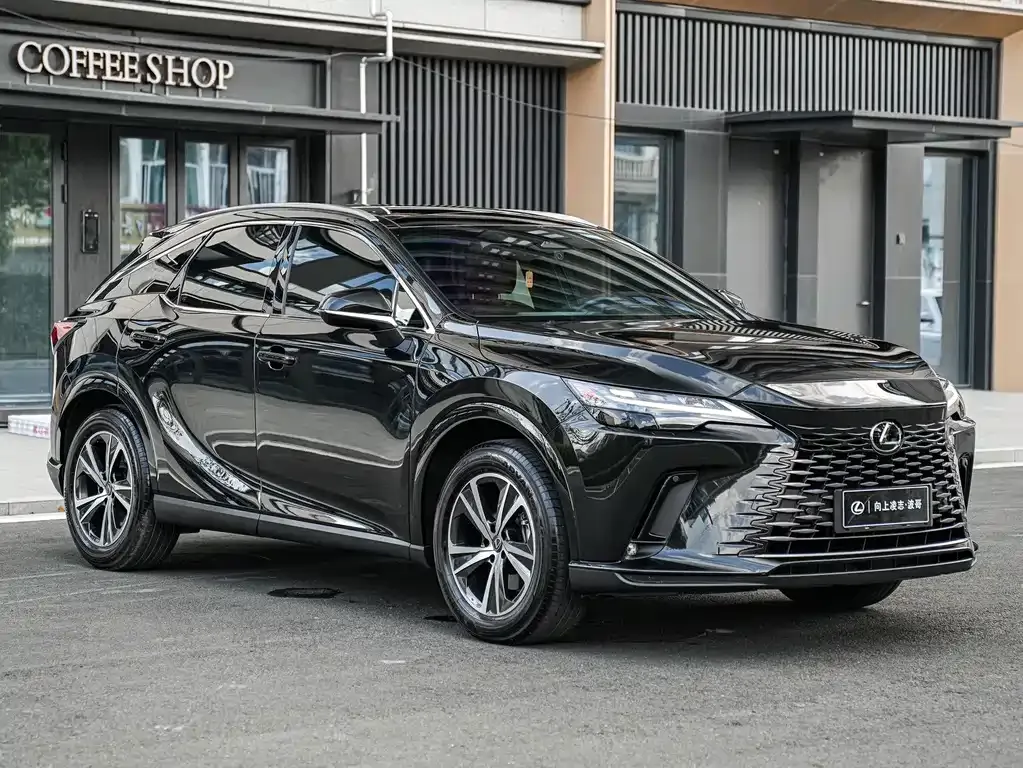 Lexus RX — фото 9