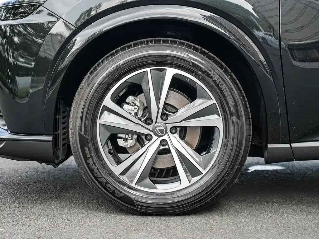 Lexus RX — фото 10