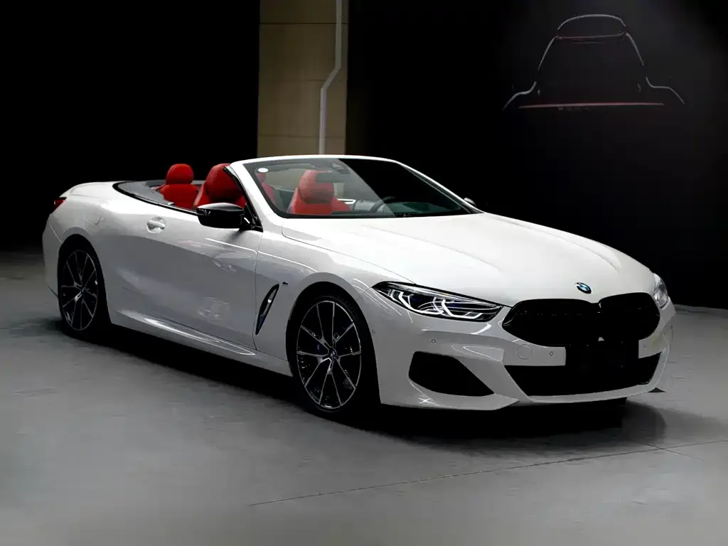 BMW 8 Series — фото 10