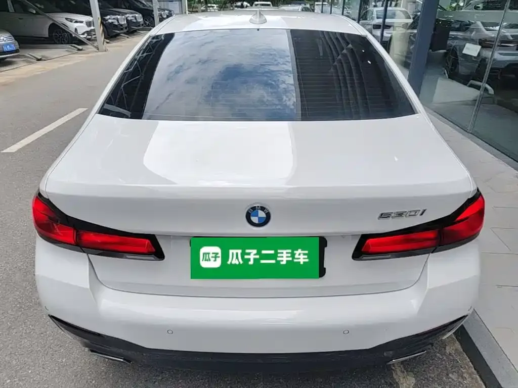 BMW 5 Series (Import) — фото 6