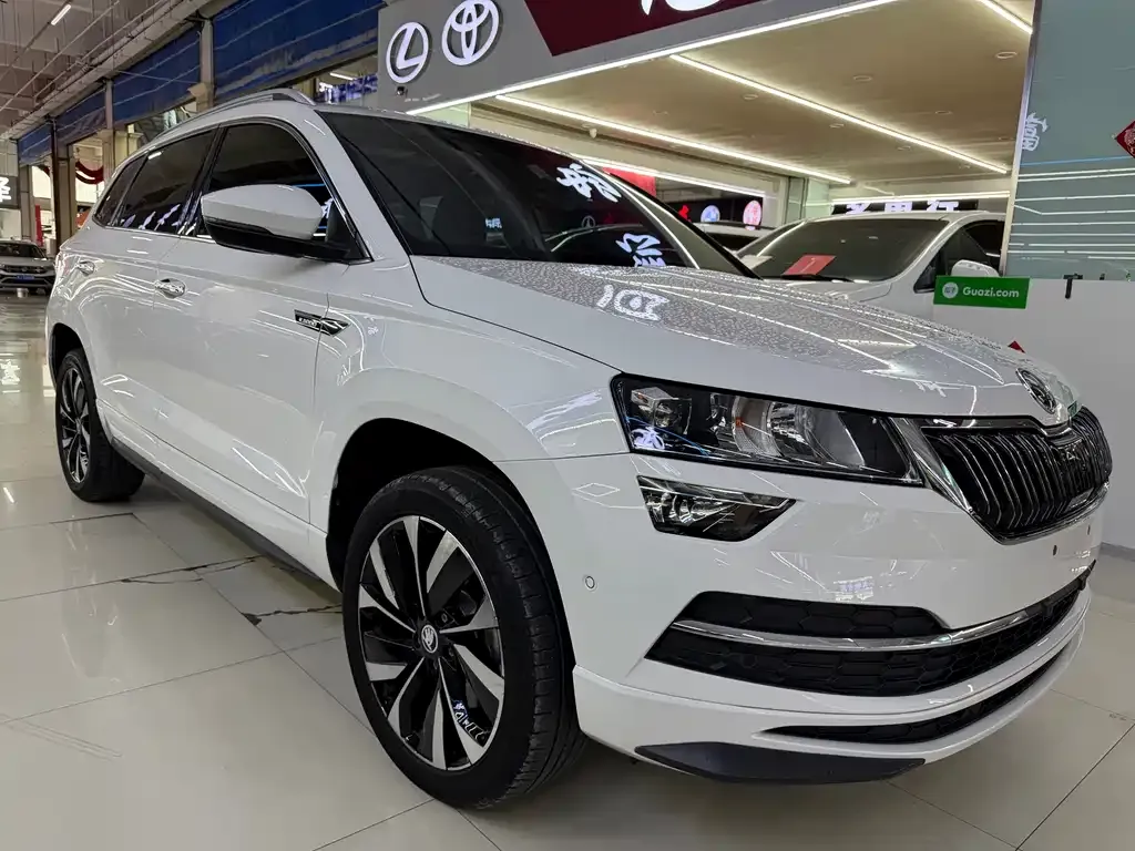 Skoda Karoq — фото 4