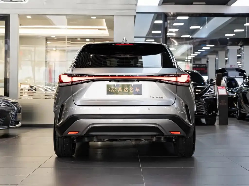 Lexus RX — фото 10