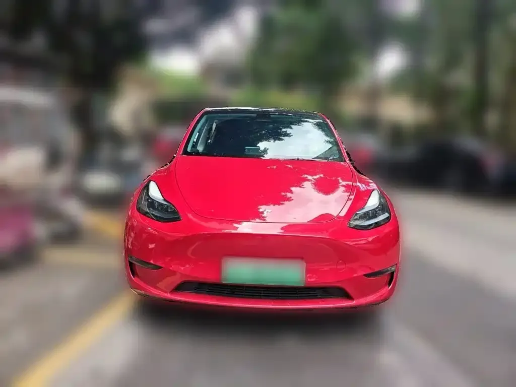 Tesla Model Y — фото 2