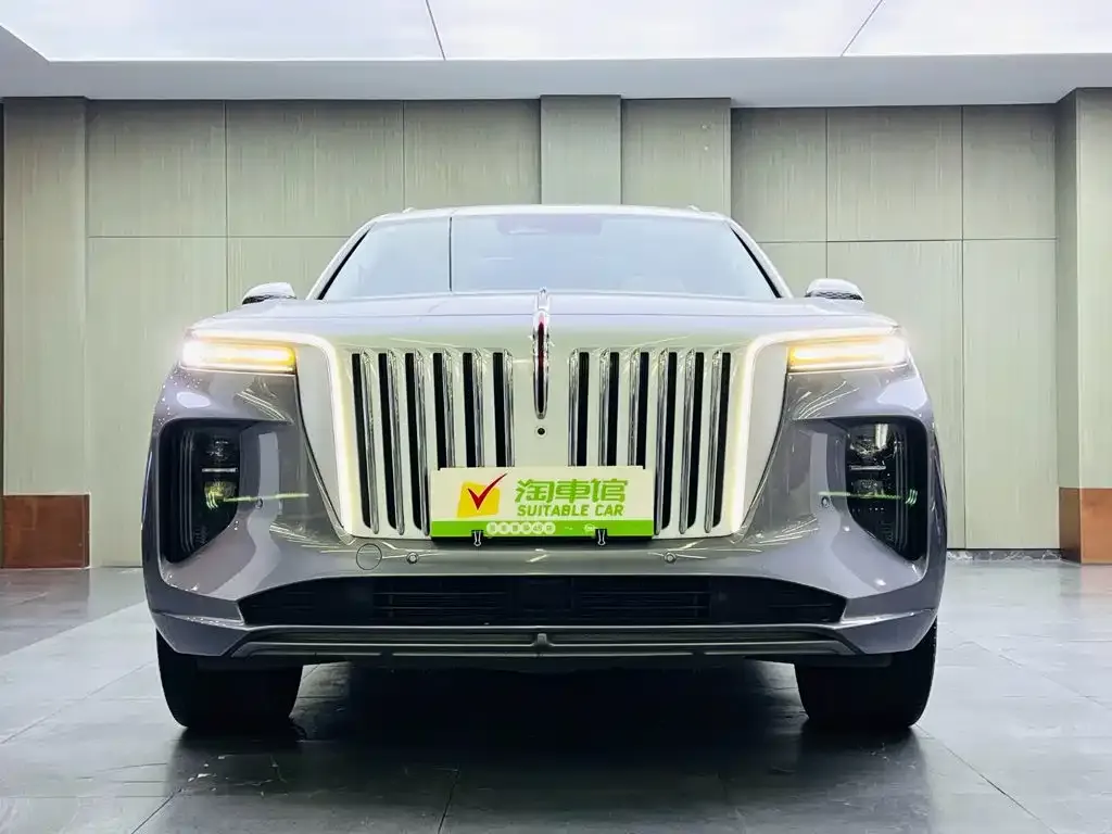 Hongqi E-HS9 — фото 2