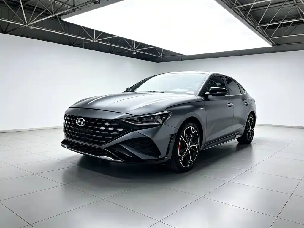 Hyundai Fista — фото 1