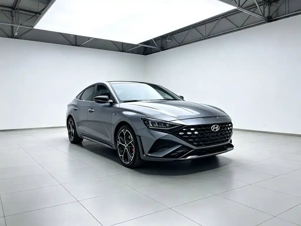 Hyundai Fista — фото 2