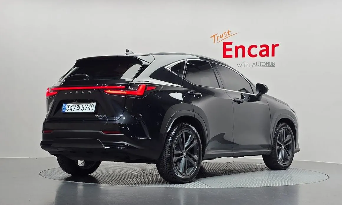 Lexus NX 2024 из KR, фото 4