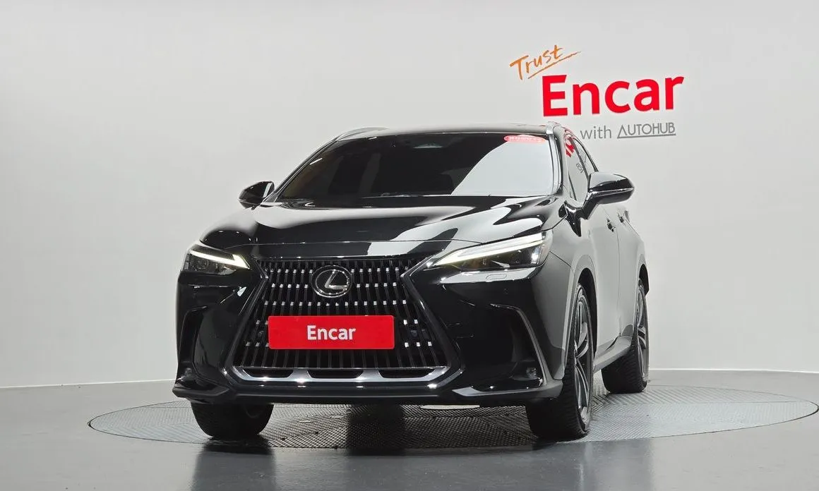 Lexus NX 2024 из KR, фото 5