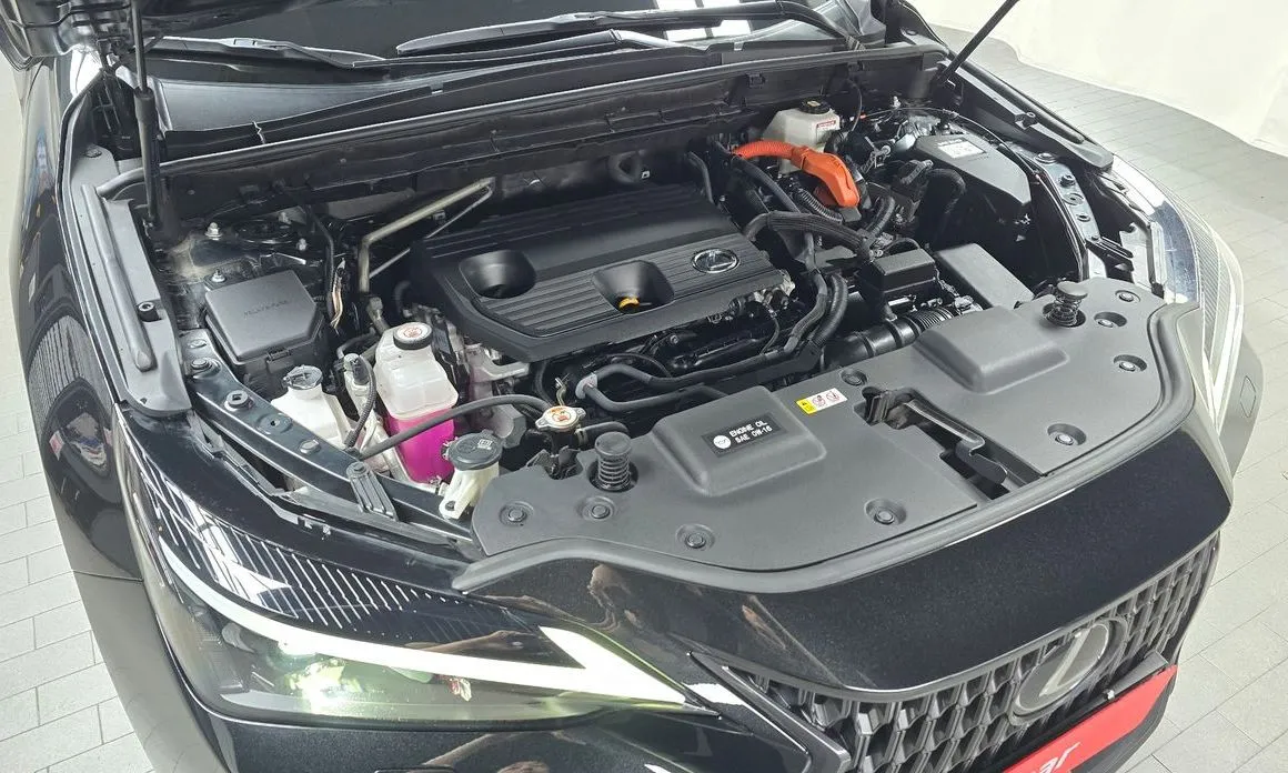 Lexus NX 2024 из KR, фото 8