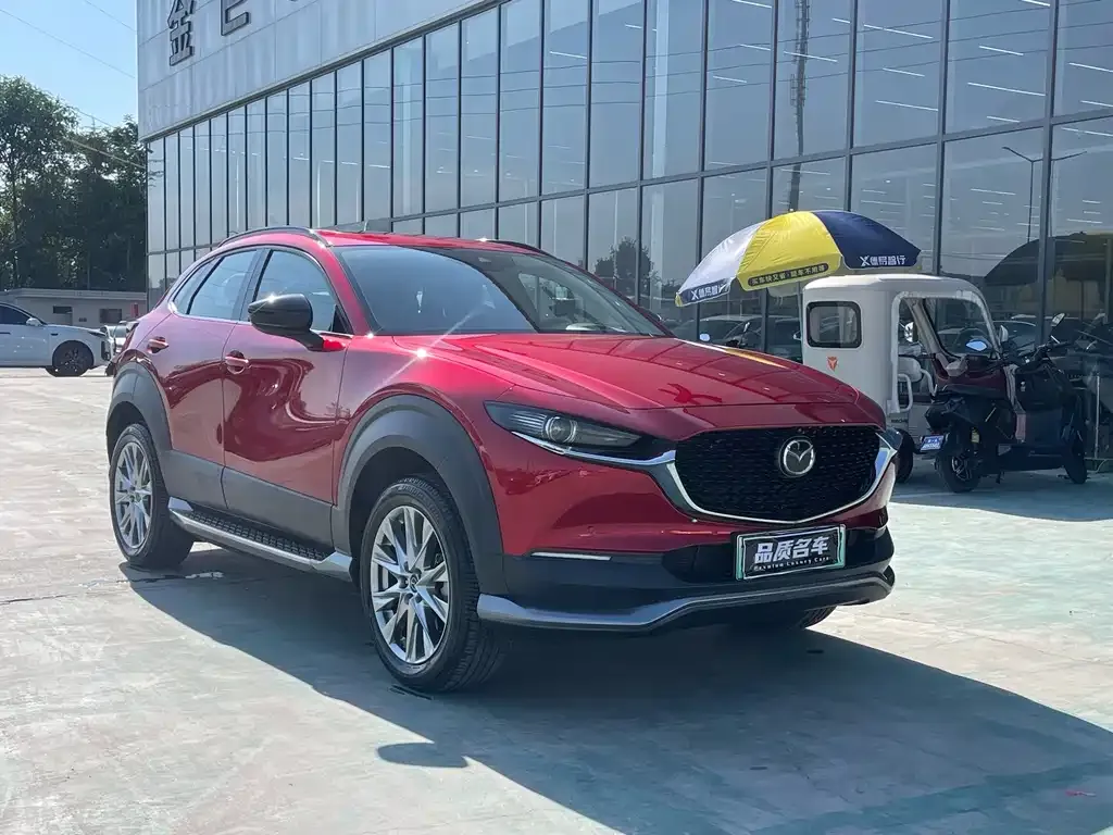Mazda CX-30 EV — фото 6