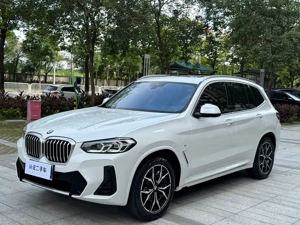 BMW X3 — фото 1
