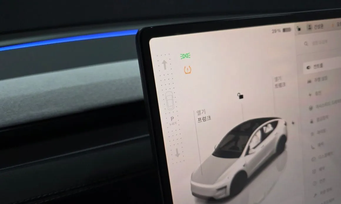 Tesla Model Y — фото 10