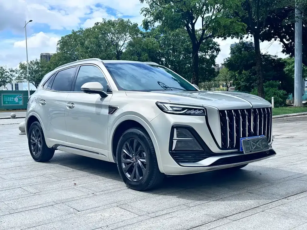 Hongqi HS5 2024 из CN, фото 6
