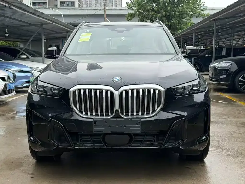 BMW X5 — фото 10