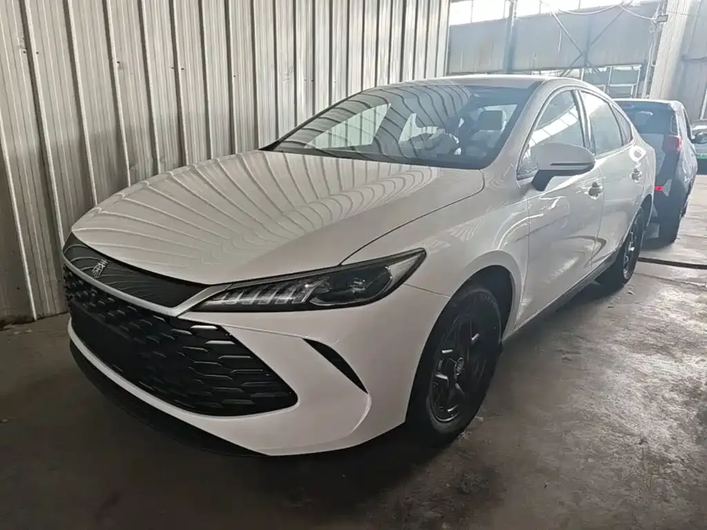 BYD Qin PLUS — фото 5