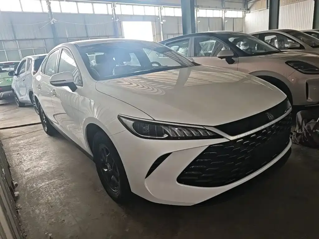BYD Qin PLUS — фото 4
