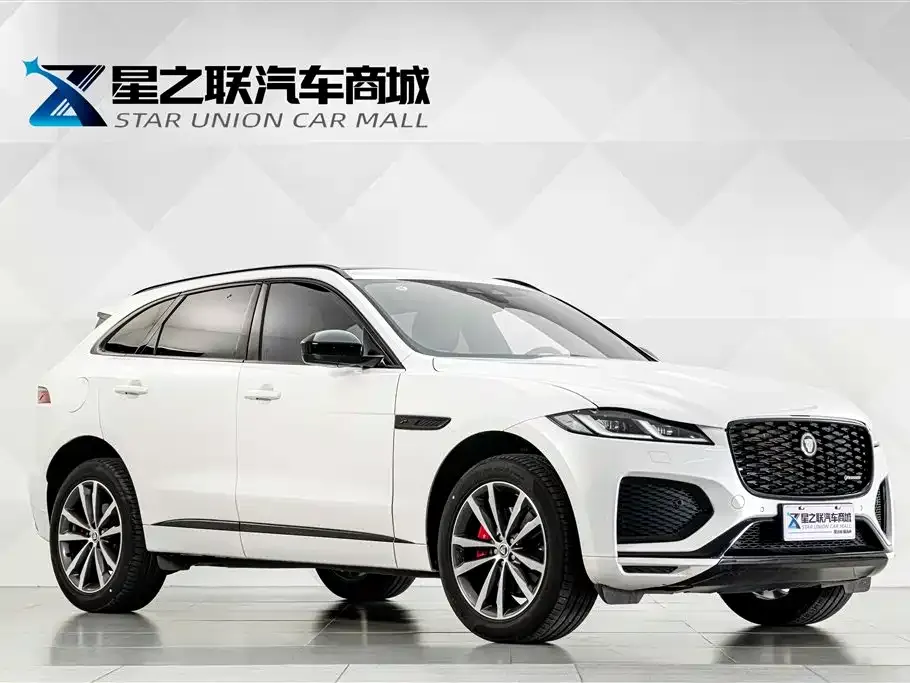Jaguar F-PACE — фото 10