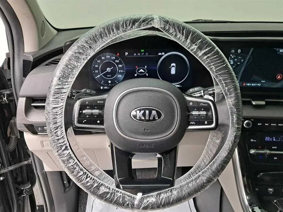 Kia Carnival — фото 10