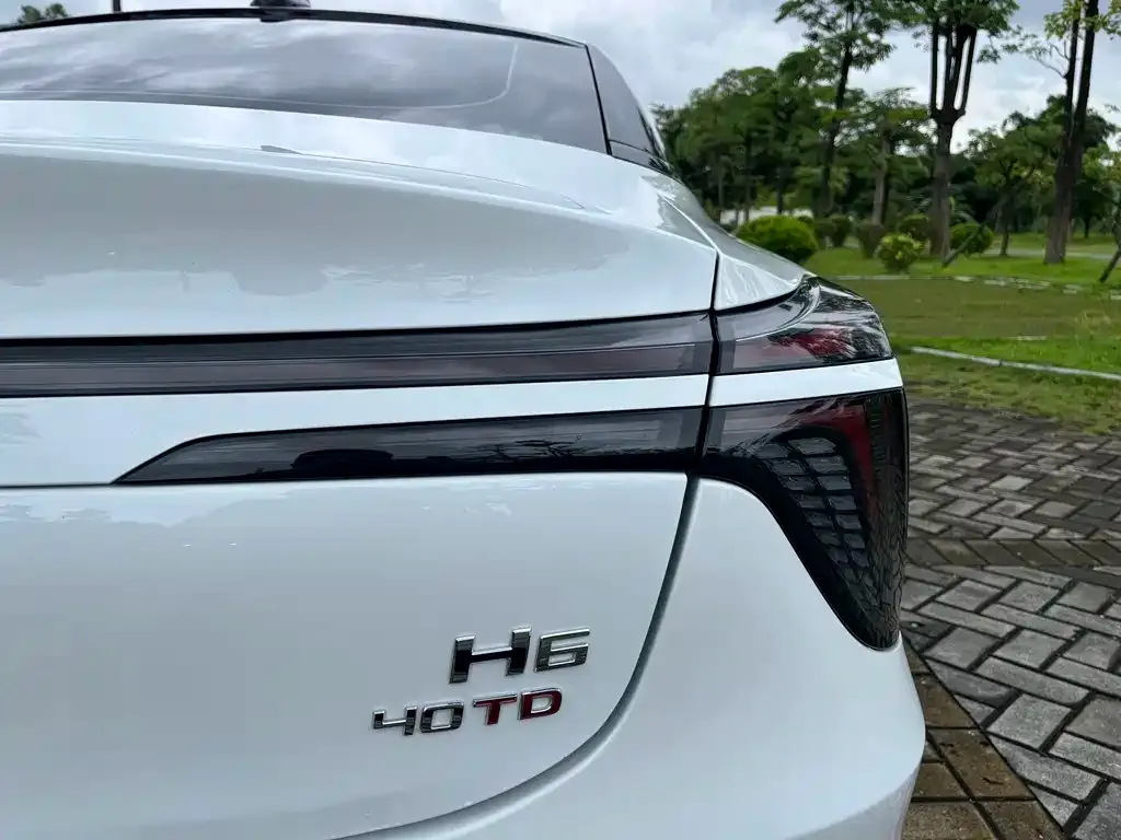 Hongqi H6 2024 из CN, фото 2