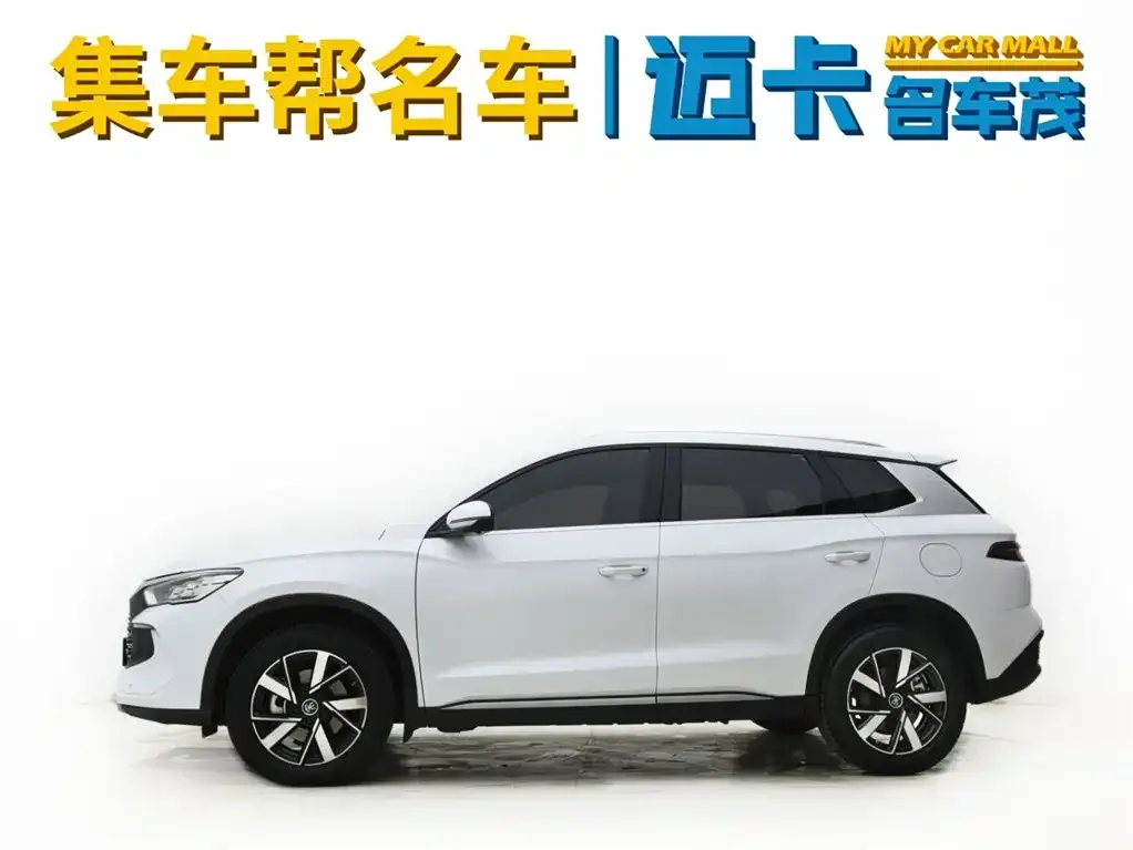 BYD Pro New Energy — фото 7