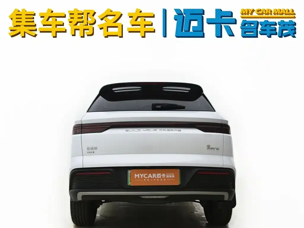BYD Pro New Energy — фото 4