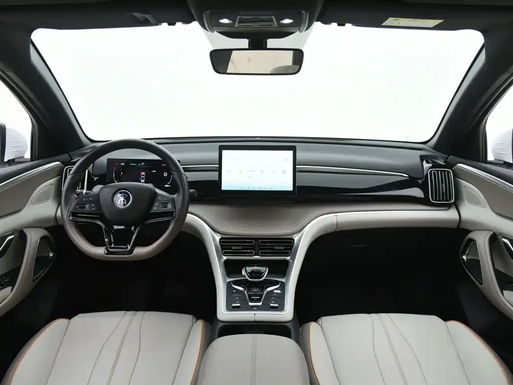 BYD Pro New Energy — фото 10