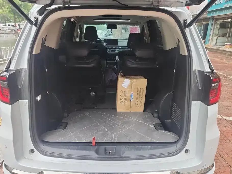 Honda Elysion 2024 из CN, фото 2