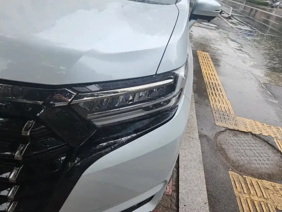 Honda Elysion 2024 из CN, фото 4
