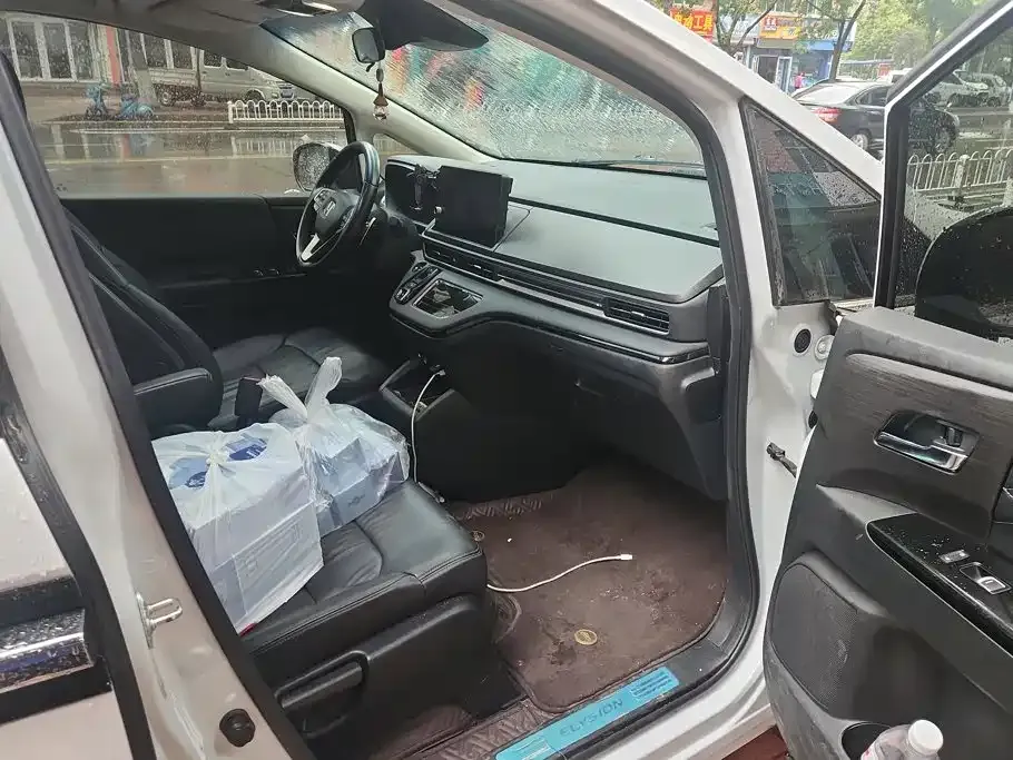 Honda Elysion 2024 из CN, фото 6
