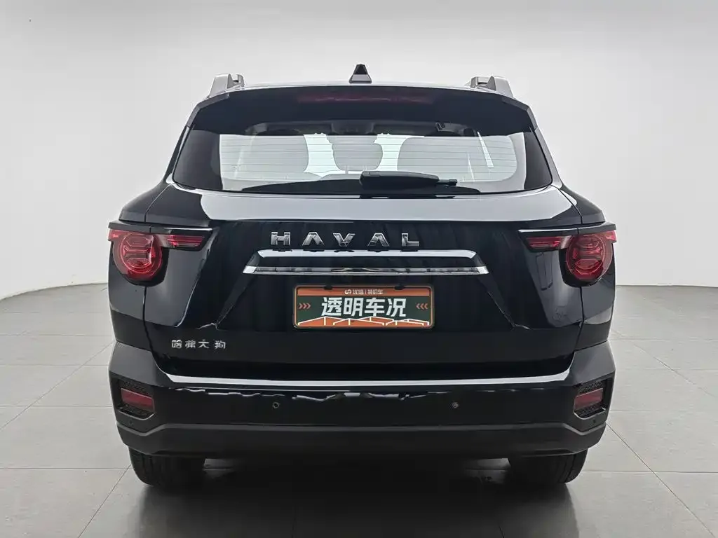 Haval H7 (Big Dog Plus) — фото 2