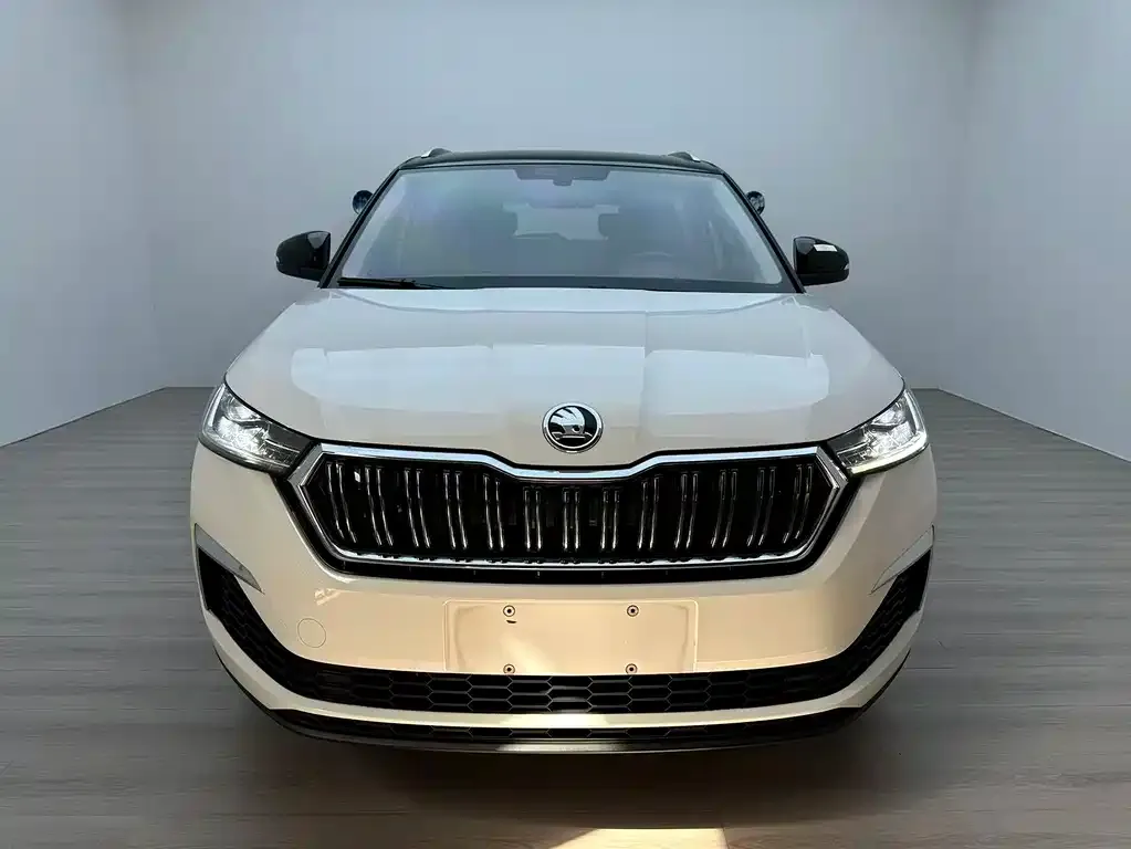 Skoda Kamiq — фото 4