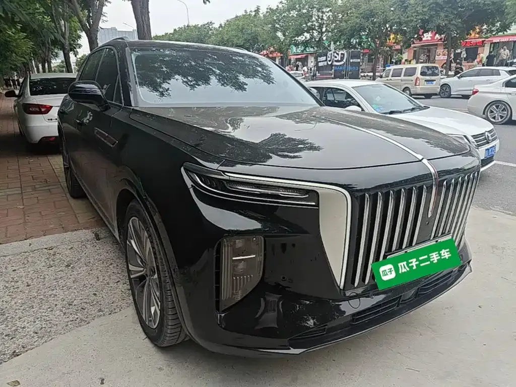 Hongqi E-HS9 — фото 9