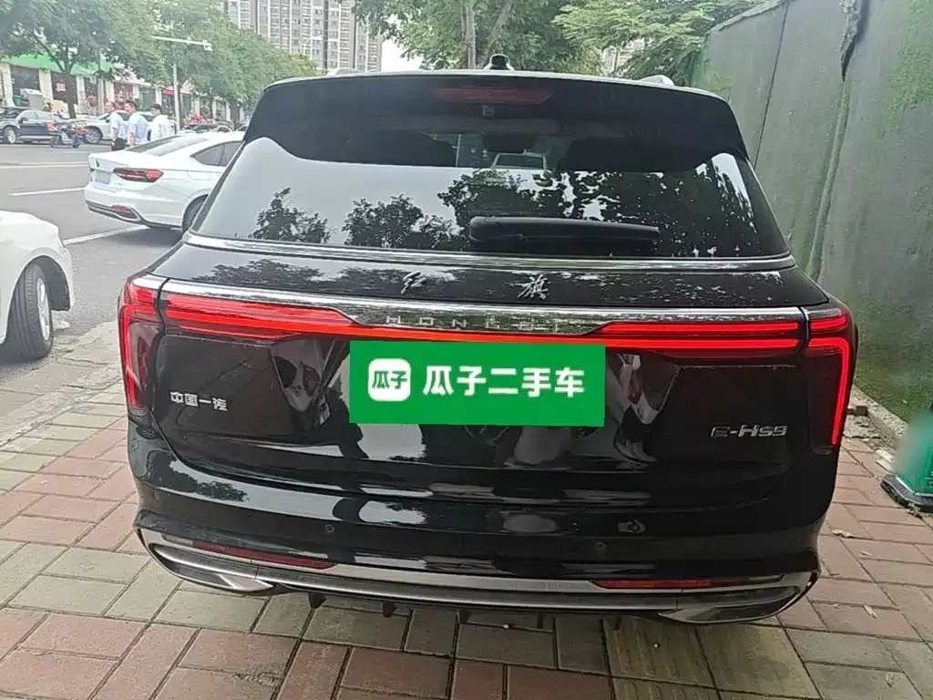 Hongqi E-HS9 — фото 8