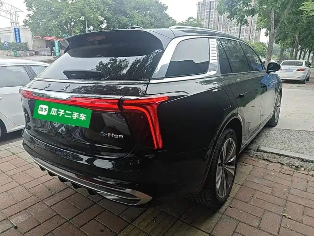 Hongqi E-HS9 — фото 7