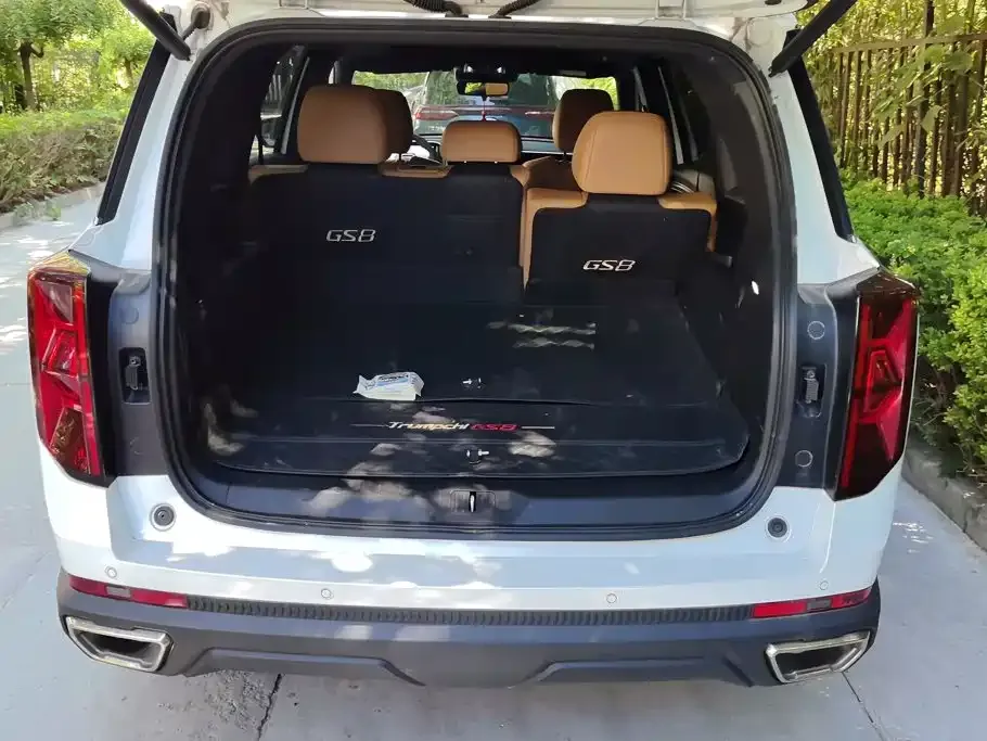 GAC Motor Trumpchi GS8 2024 из CN, фото 8