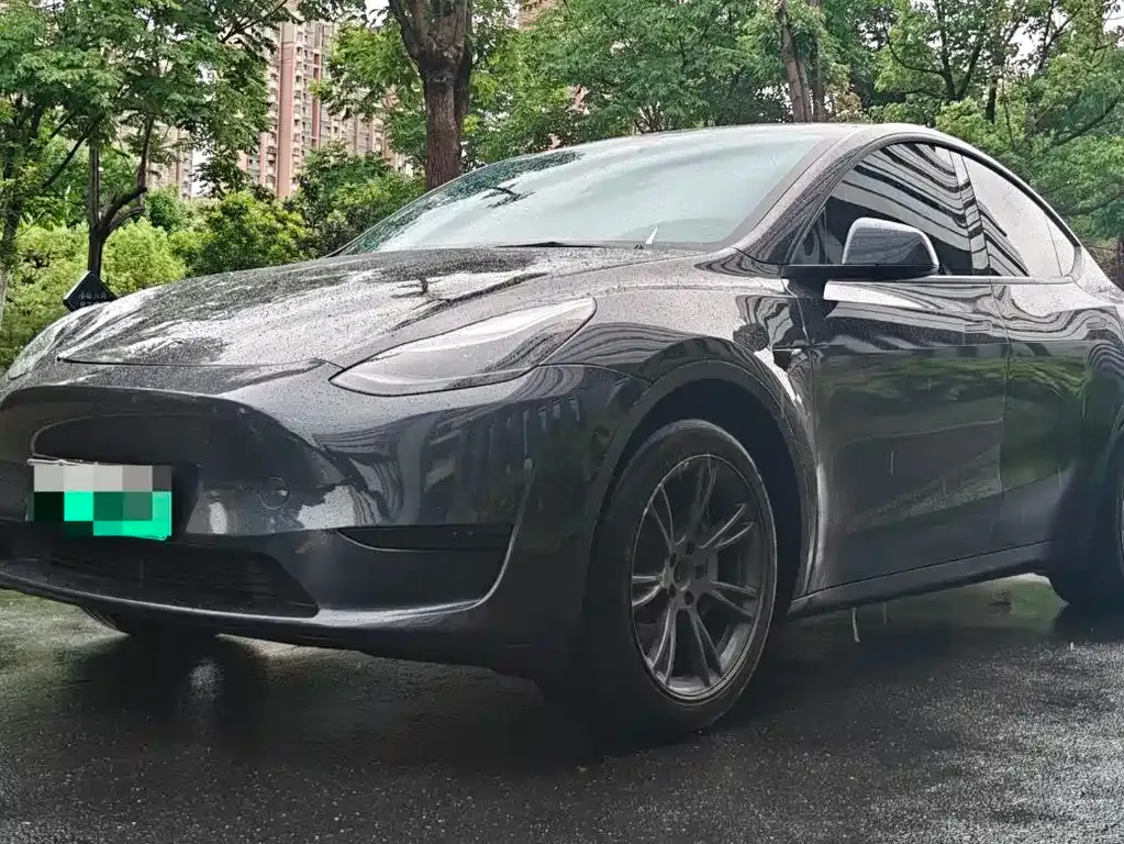 Tesla Model Y — фото 1