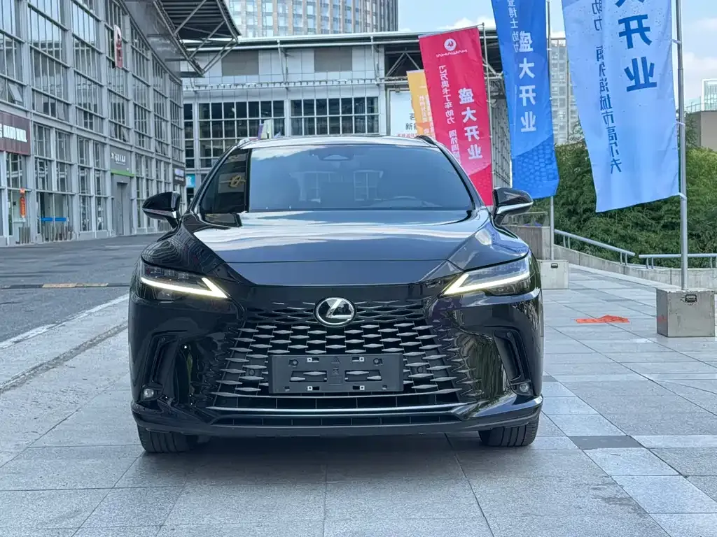 Lexus RX New Energy — фото 3