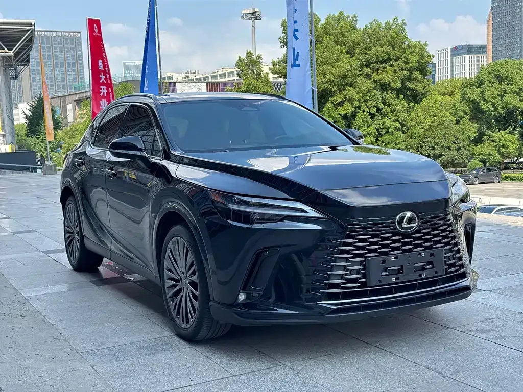 Lexus RX New Energy — фото 5