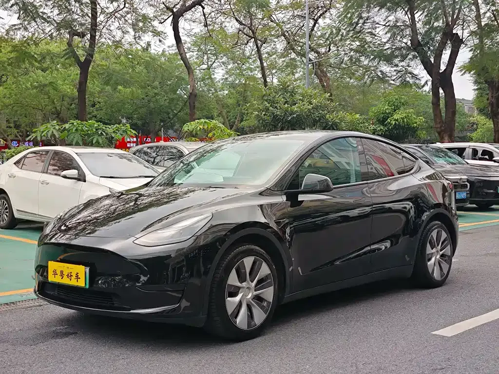 Tesla Model Y — фото 1