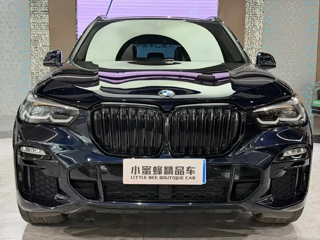 BMW X5 (Import) 2022 из CN, фото 8