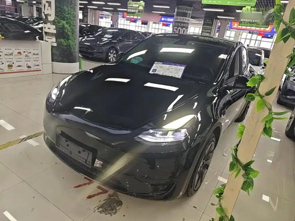 Tesla Model Y — фото 7
