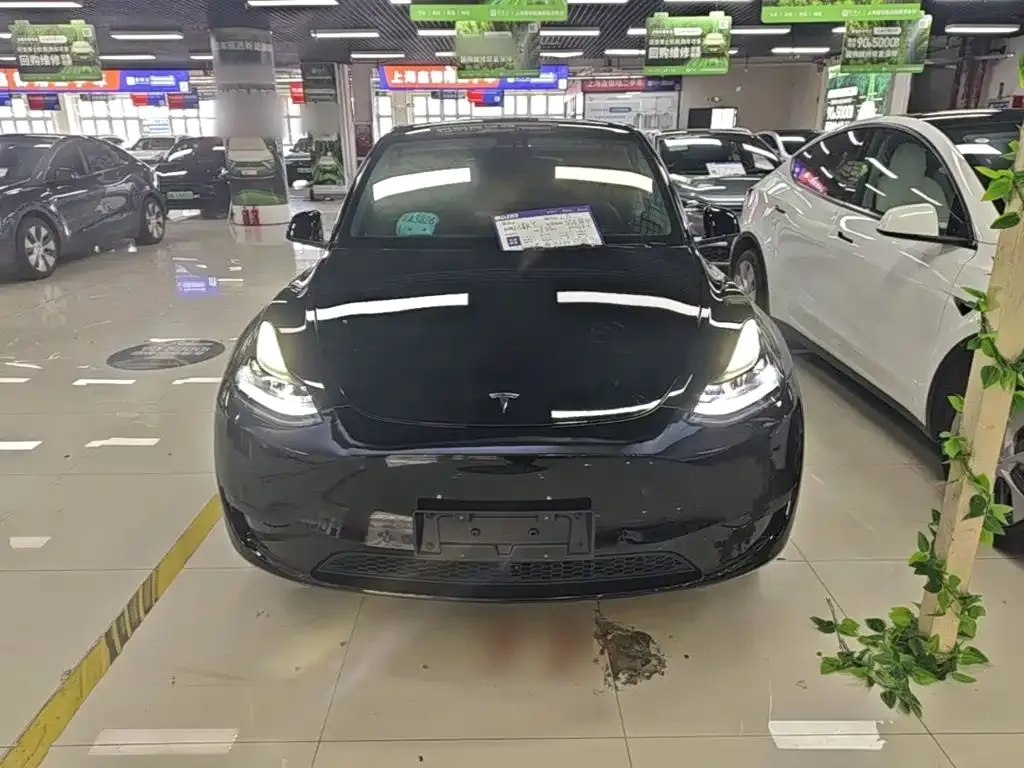 Tesla Model Y — фото 6