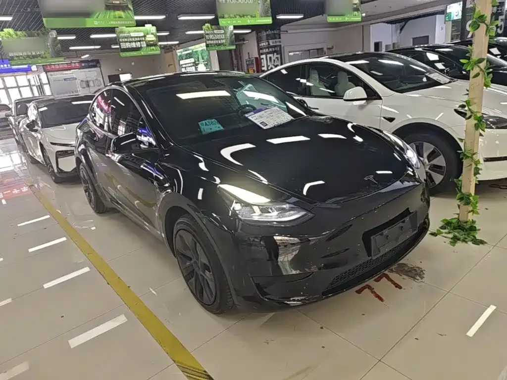 Tesla Model Y — фото 8