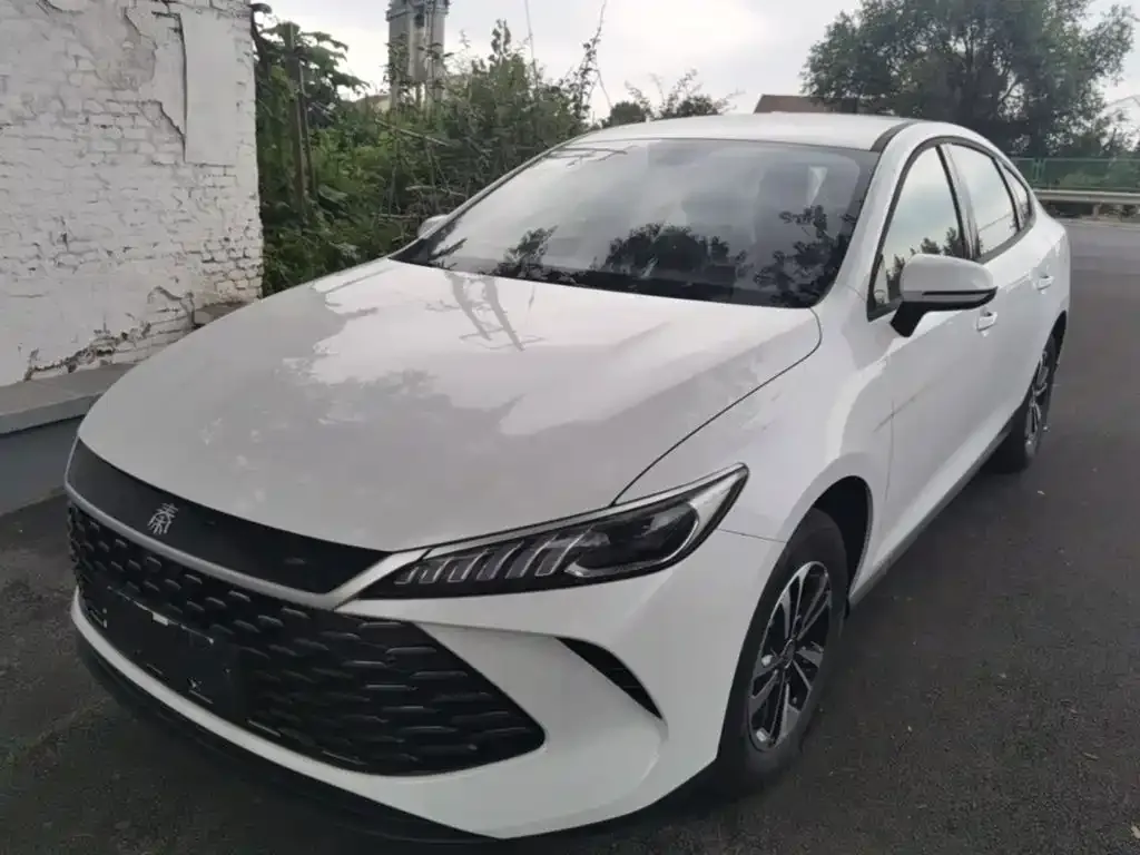 BYD Qin PLUS — фото 1