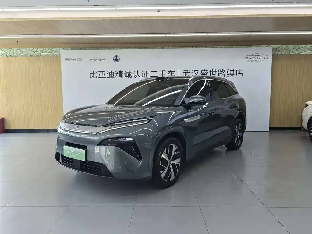 BYD Tang L — фото 1