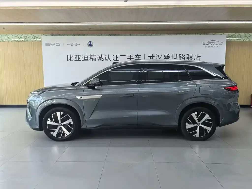 BYD Tang L — фото 6