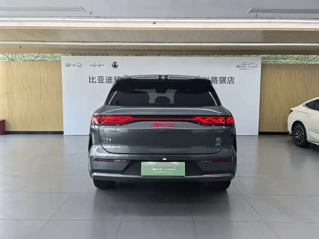 BYD Tang L — фото 4